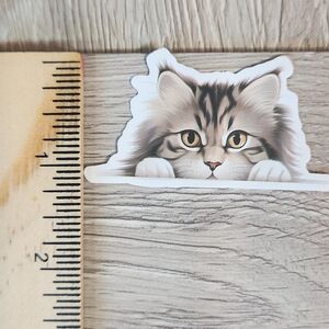 Pet Stickers 10 for $10 Dogs Puppy Cats Kitten Pets Animal Sticker